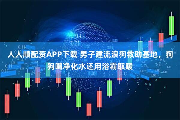 人人顺配资APP下载 男子建流浪狗救助基地，狗狗喝净化水还用浴霸取暖