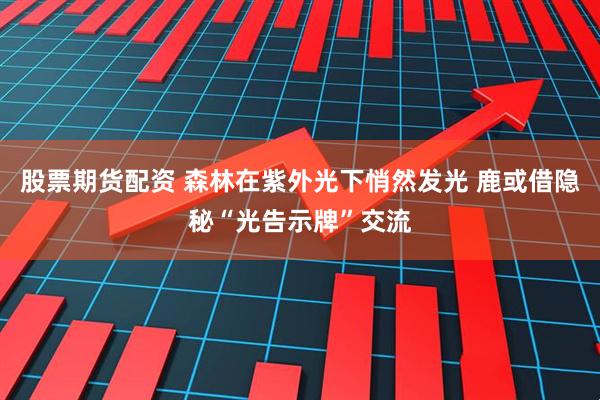 股票期货配资 森林在紫外光下悄然发光 鹿或借隐秘“光告示牌”交流