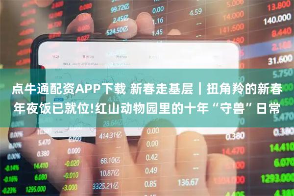点牛通配资APP下载 新春走基层｜扭角羚的新春年夜饭已就位!红山动物园里的十年“守兽”日常