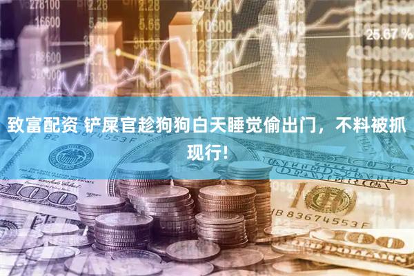 致富配资 铲屎官趁狗狗白天睡觉偷出门，不料被抓现行!