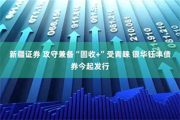 新疆证券 攻守兼备“固收+”受青睐 银华钰丰债券今起发行