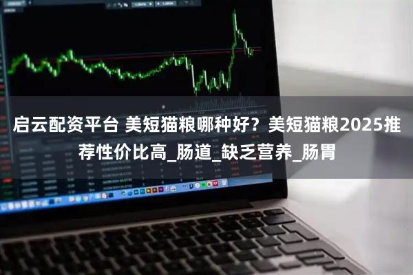 启云配资平台 美短猫粮哪种好？美短猫粮2025推荐性价比高_肠道_缺乏营养_肠胃