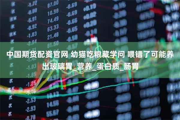 中国期货配资官网 幼猫吃粮藏学问 喂错了可能养出玻璃胃_营养_蛋白质_肠胃