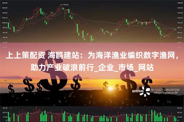 上上策配资 海鸥建站：为海洋渔业编织数字渔网，助力产业破浪前行_企业_市场_网站