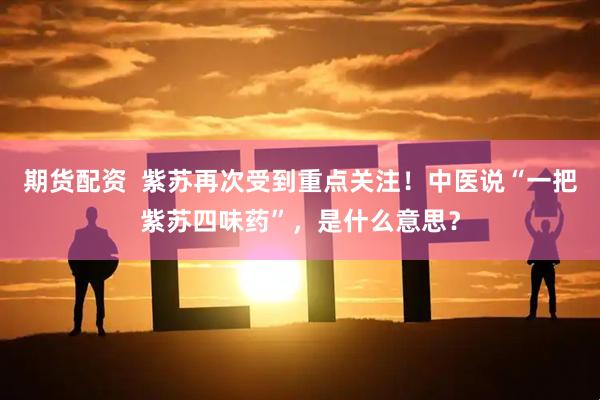 期货配资  紫苏再次受到重点关注！中医说“一把紫苏四味药”，是什么意思？